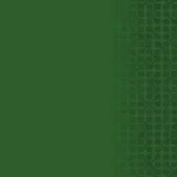 Website preview
