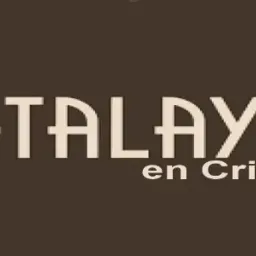 Website preview