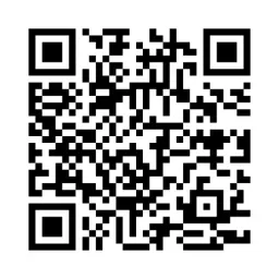 Website preview
