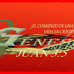Website preview