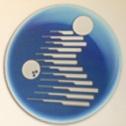 Website preview