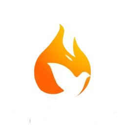 Website preview