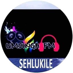 Website preview