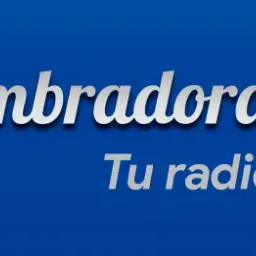 Website preview