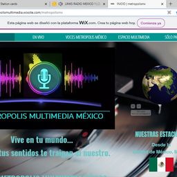Website preview