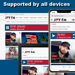 Website preview