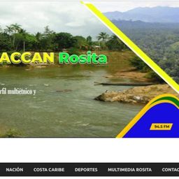 Website preview