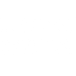 Website preview