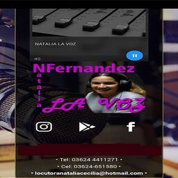 Website preview