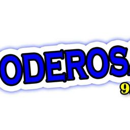 Website preview