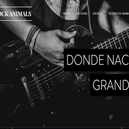 Website preview