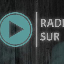 Website preview