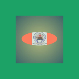 Website preview