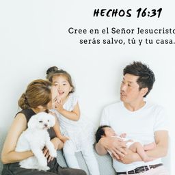 Website preview