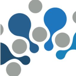 Website preview