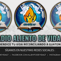 Website preview