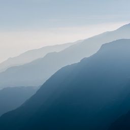 Website preview