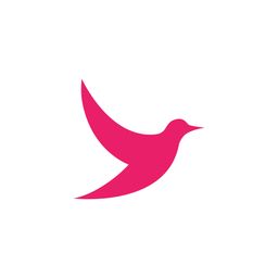 Website preview