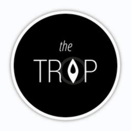 Website preview