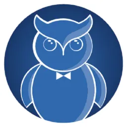 Website preview