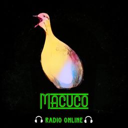 Website preview