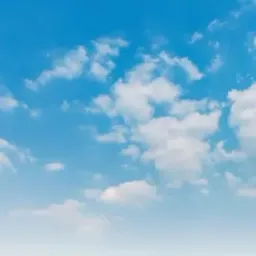 Website preview