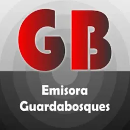 Website preview