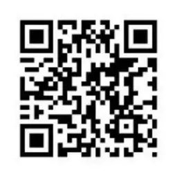 Website preview