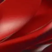 Website preview