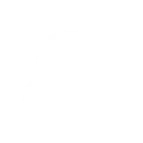Radio Bosco FM