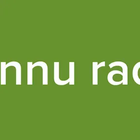 Pannu radio