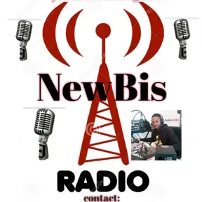 NEWBIS radio