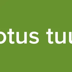 Totus tuus