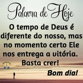 FIRME NA ROCHA