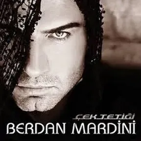 Berdan Mardini