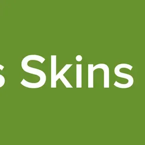 Bus Skins MX