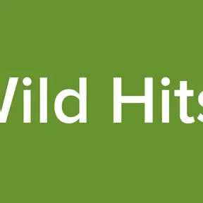 Wild Hits