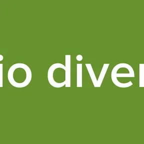 Radio divertida