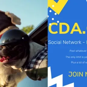 cdaone
