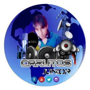 CARLITOS JUNIOR WEB