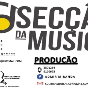 Web Secção da Musica