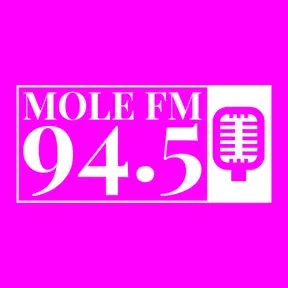 Mole FM book club