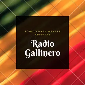 RADIOGALLINERO