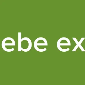 bebe exa