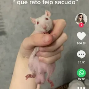 Gabriel