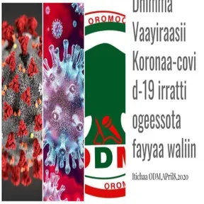 ODM-COVID-19 PANDEMIC VIRUS
