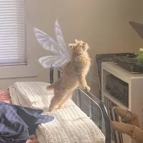 Fairies.fm