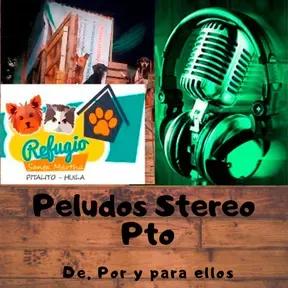 Peludos Stereo Retro Pitalito