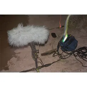 Ecosystem Sound