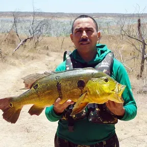 Tarcisio Pescador Web